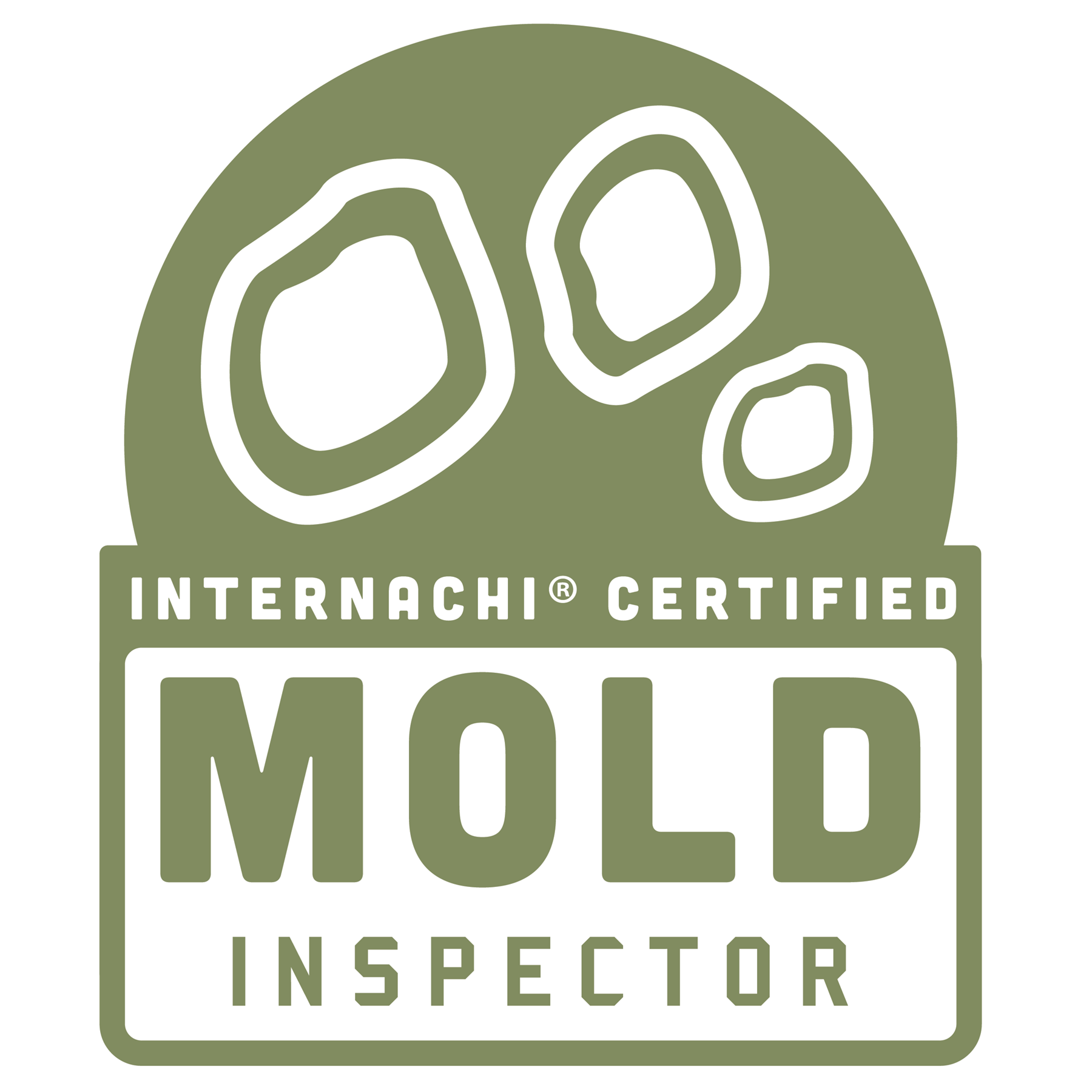 Mold Inspector, Remediator & Assessor